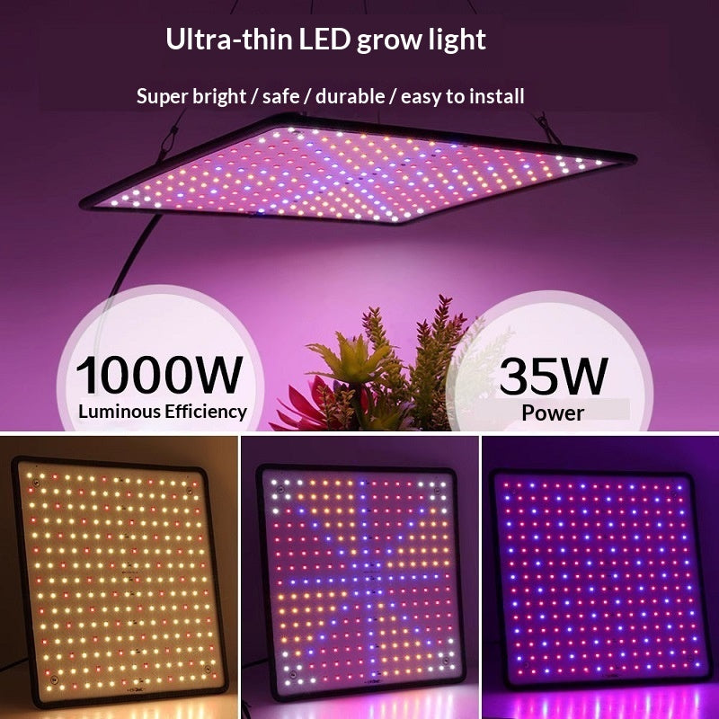 LED Quantum Board Grow Light for Plants