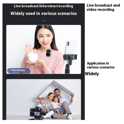 Wireless Microphone Bluetooth Accompaniment Comes with Reverb