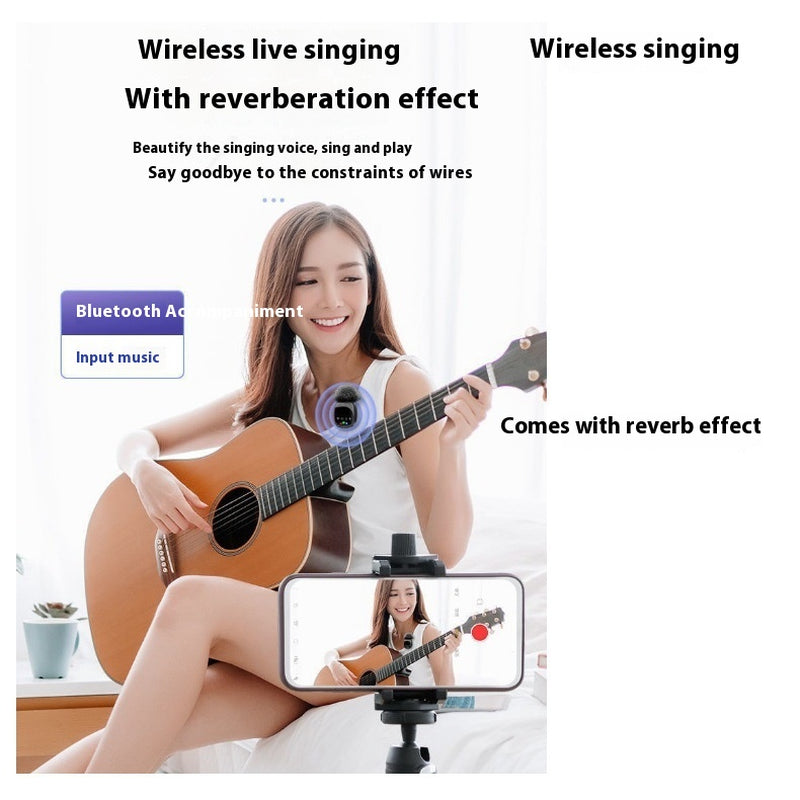 Wireless Microphone Bluetooth Accompaniment Comes with Reverb
