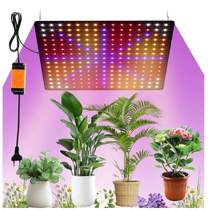 LED Quantum Board Grow Light for Plants
