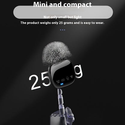Wireless Microphone Bluetooth Accompaniment Comes with Reverb